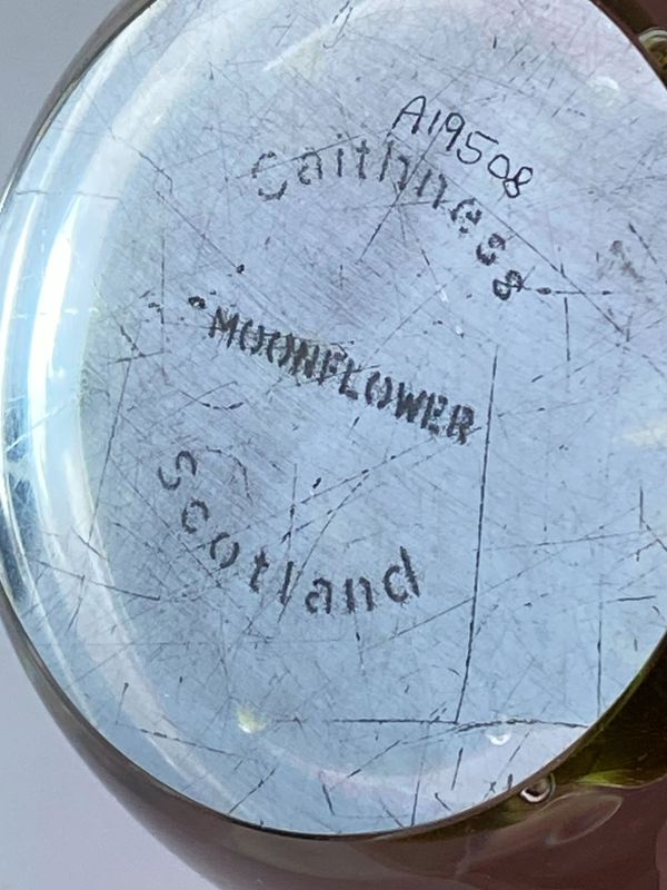 Brevpresse Moonflower Caithness Scotland